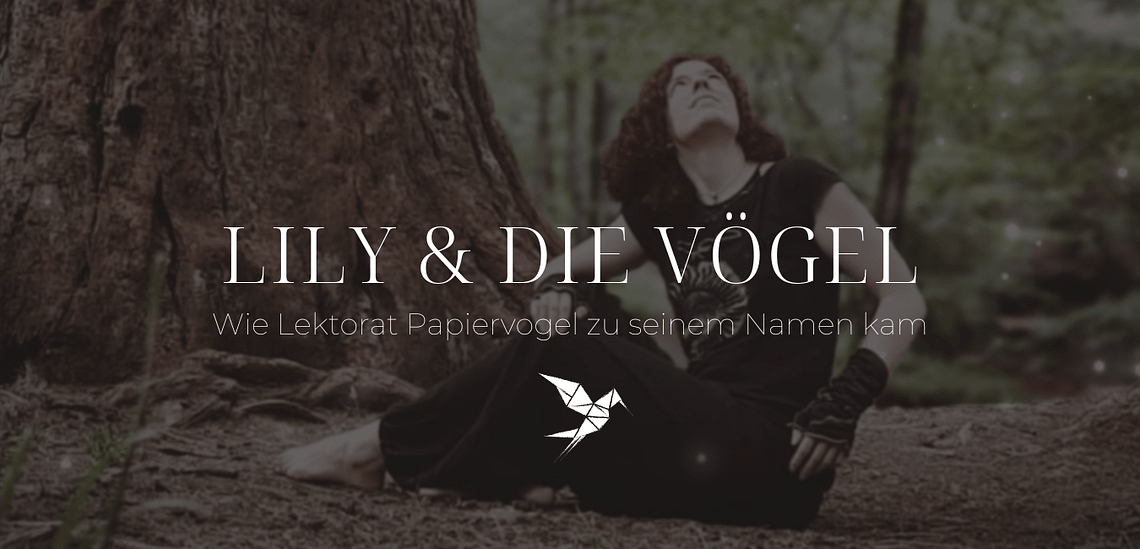 Lektorat Papiervogel, Lily Nickert, Lektorat, Korrektorat, Manuskriptgutachten - für Autorinnen und Autoren im Selfpublishing: Dein erstes eigenes Buch